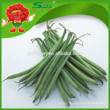 Fèves fraîches Haricots verts Légumes frais